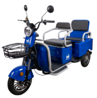 Tricycle Électrique pour Passagers avec Banquette Double Bendis TRCC1200 EvoTools®