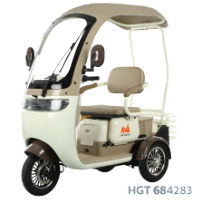 Tricycle Électrique pour Passagers avec Cabine Ouverte Dotos TRP1000CD EvoTools®