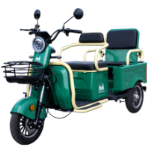 Tricycle Électrique pour Passagers avec Banquette Double Bendis TRCC1200 EvoTools®