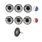 Lot de 6 Mini Disques à Lamelles avec Plateau de Support EvoTools®